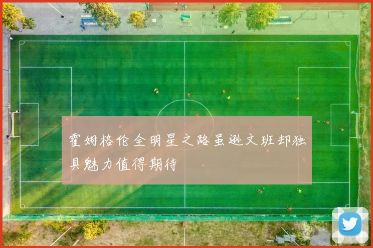 霍姆格伦全明星之路虽逊文班却独具魅力值得期待