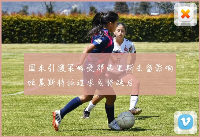 国米引援策略受邓弗里斯去留影响帕莱斯特拉追求或将延后