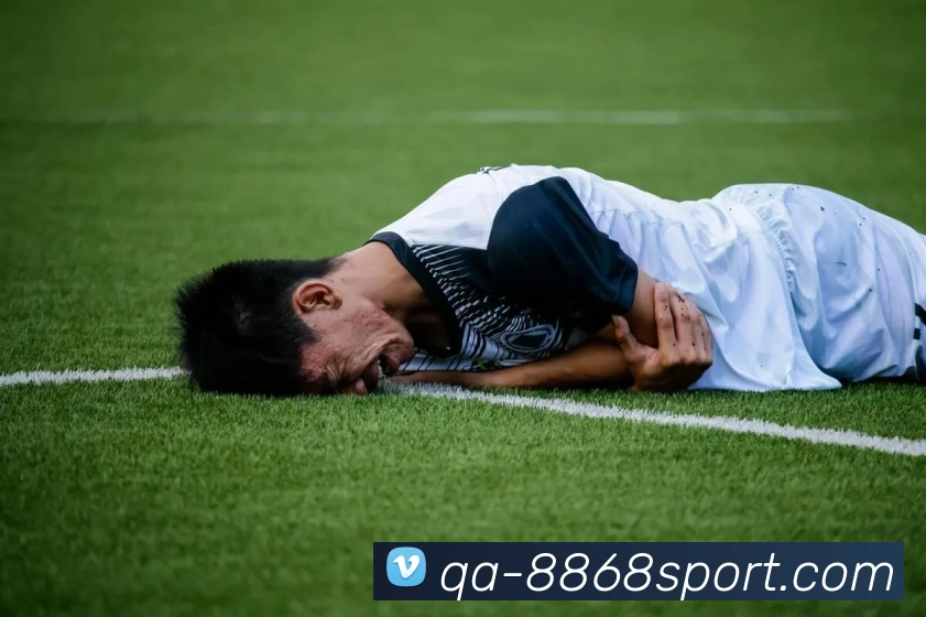 8868体育服务体系